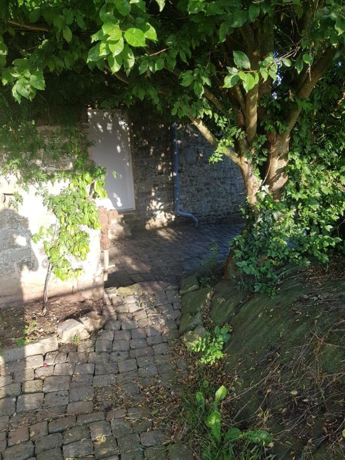 Saint-Nicolas-de-Pierrepont Elevage De La Hurie المظهر الخارجي الصورة
